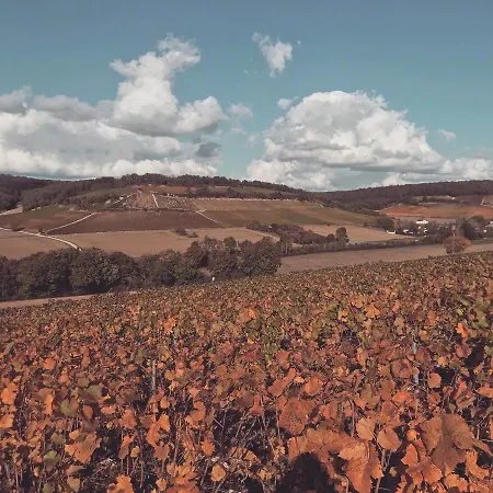 Nuit's Feerique En Champagne Chalé *