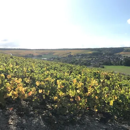 Nuit's Feerique En Champagne Chalé Meurville