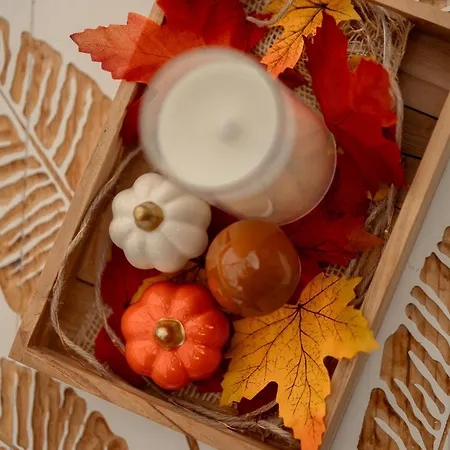 Nuit's Feerique En Champagne